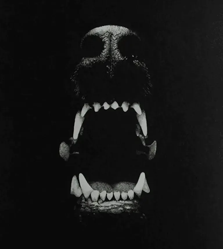 Howl